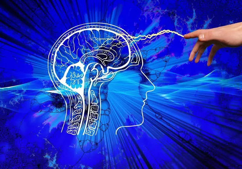 Microsoft 与瑞士初创公司合作开发可以模拟人脑的 AI