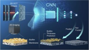 通过 Dnn 模型从平面相机图像中精确预测 Swro 海水淡化中的生物膜厚度
