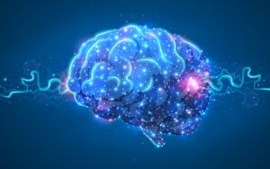 inait 和 Microsoft 联手利用数字大脑技术彻底改变 AI