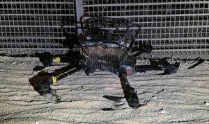 警方报告称，使用无人机将幼狮、猴子走私到以色列