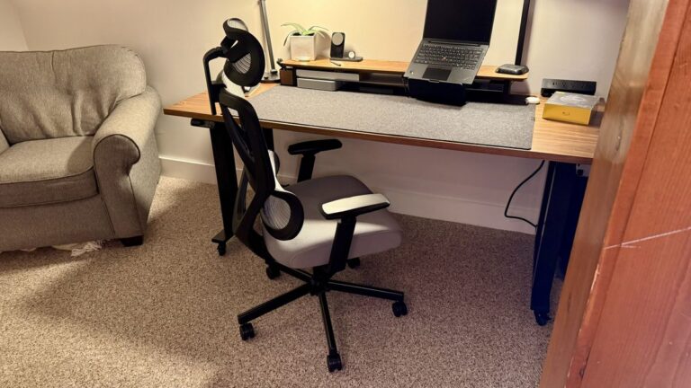 我试用了 ProtoArc EC100，虽然我喜欢它的价格和腰部支撑，但我对它有限的可调节性感到失望