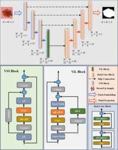 Vision Mamba 和 xLSTM-UNet 用于医学图像分割