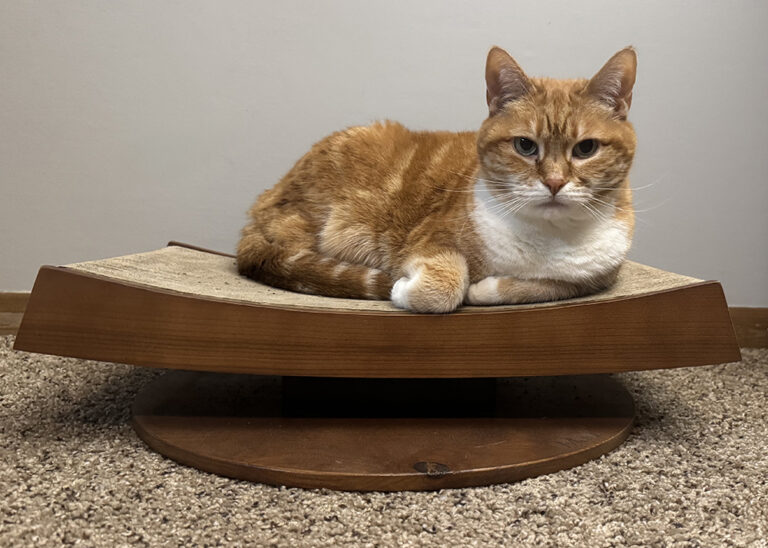 Mau Torii 现代木制猫抓板评论