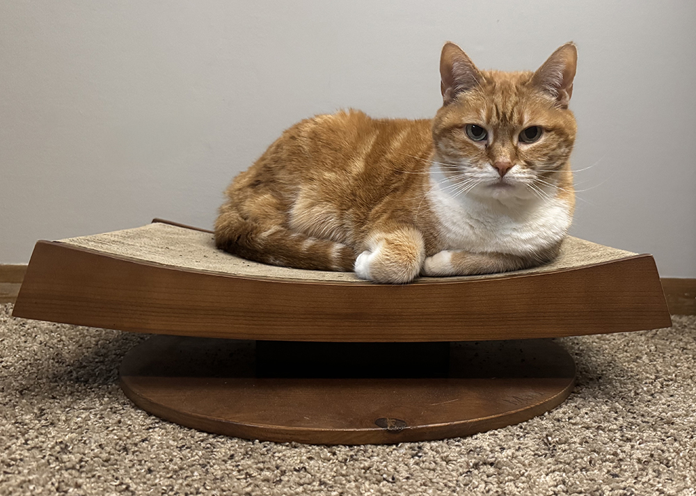 Mau Torii 现代木制猫抓板评论