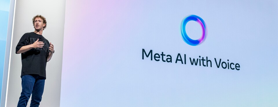 Meta 在 AI 案中未能击败版权通知删除索赔