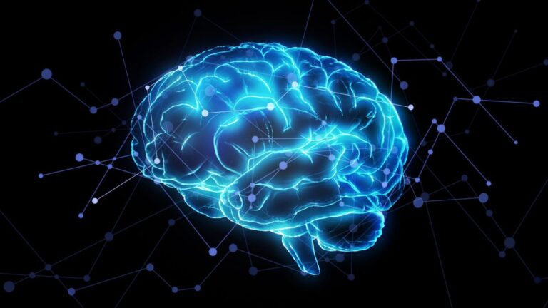 用于解读人类语言神经科学的 AI 算法