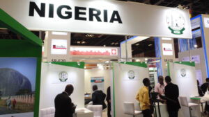 Tinubu 指示 Nitda 协调尼日利亚的 AI