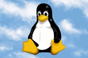 Haiku 和 Linux 都获得了新的 Foss Nvidia 驱动程序