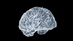 一项大规模的 AI 分析发现了与大脑衰老相关的基因，以及减缓大脑衰老的药物