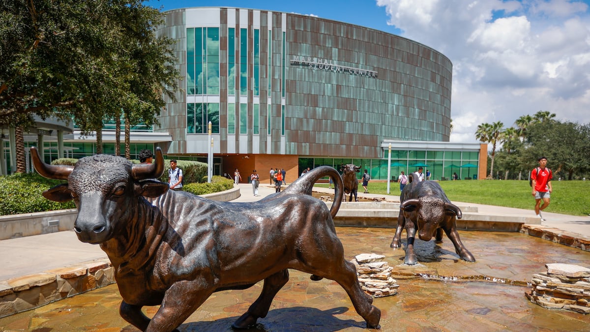 USF 提供免费的人工智能入门课程