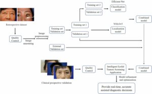 基于深度学习的移动应用程序，可在临床图像中高效识别眼睑肿瘤