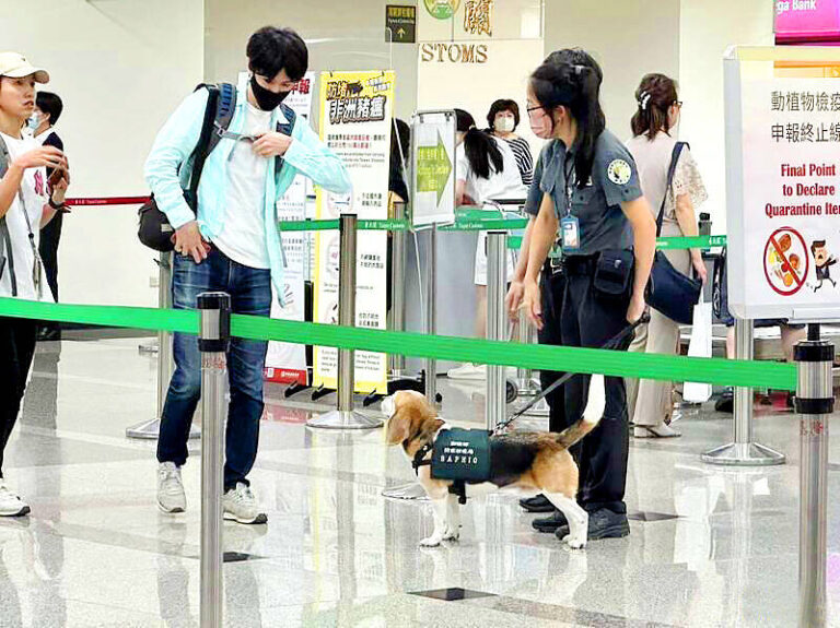 台湾将扩大人工智能在清关点的使用