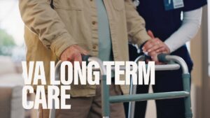 兽医的长期护理是一个紧迫的问题——未来应该如何改变？