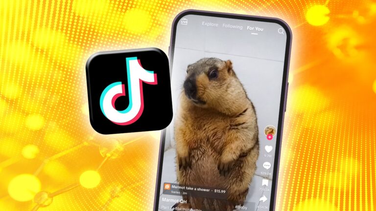 你的 TikTok 算法搞砸了吗？这是解决方法