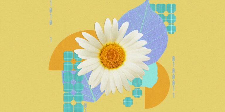 这种人造叶子用二氧化碳制造碳氢化合物
