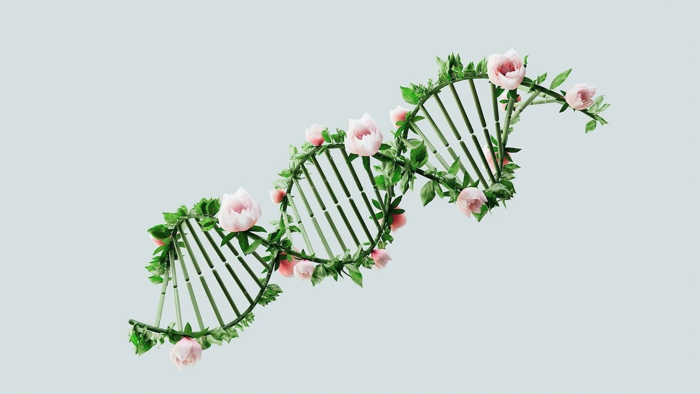 迄今为止最大的生物学 AI 从头开始编写基因组