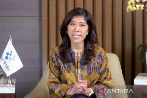 部长：RI政府鼓励女性参与AI生态系统