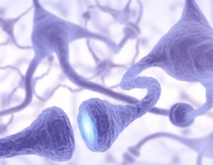 人工神经元在自组织网络中独立学习