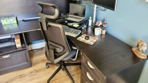 Branch Ergonomic Chair Pro 办公椅评测
