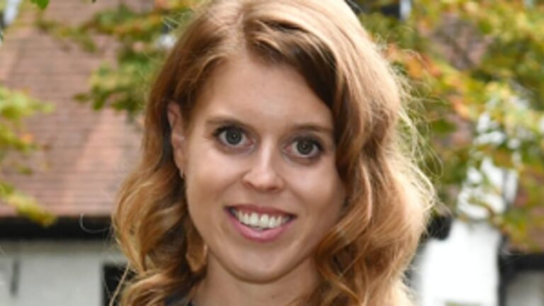 比阿特丽斯公主 （Princess Beatrice） 的 AI 驱动黑客让早产儿雅典娜 （Athena） “安心”