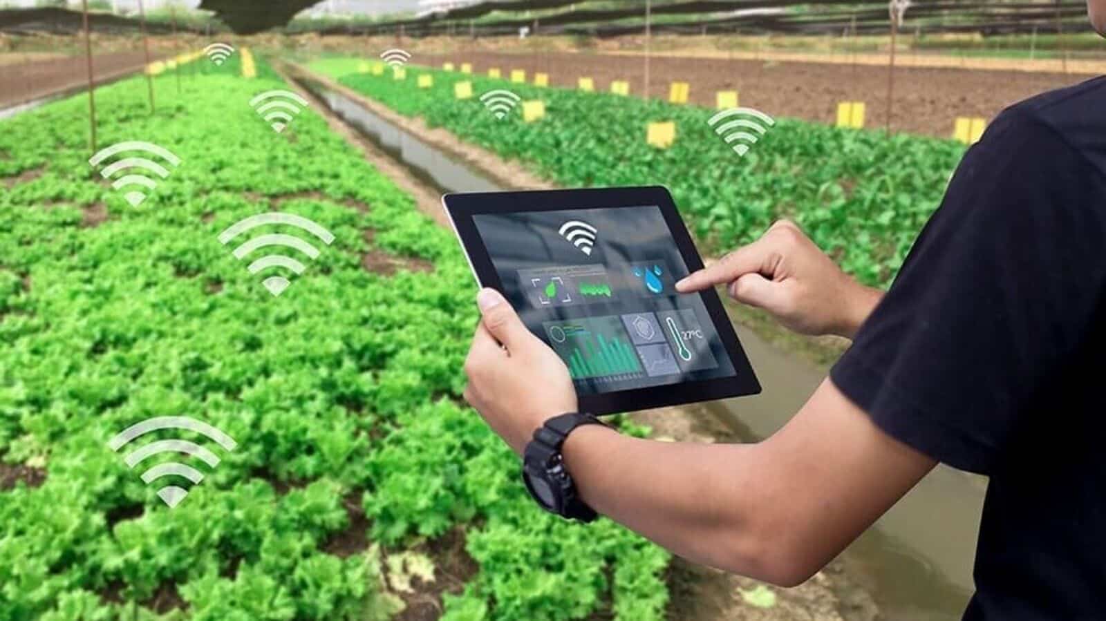 印度各邦应采用人工智能实现包容性增长和治理