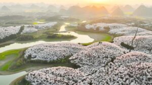 中国公司采用开源的密切合作，极大地促进了行业发展