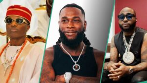 Wizkid、Davido、Burna Boy：埃隆马斯克的 AI 命名了 Afrobeats 艺术家，“谁认为他......