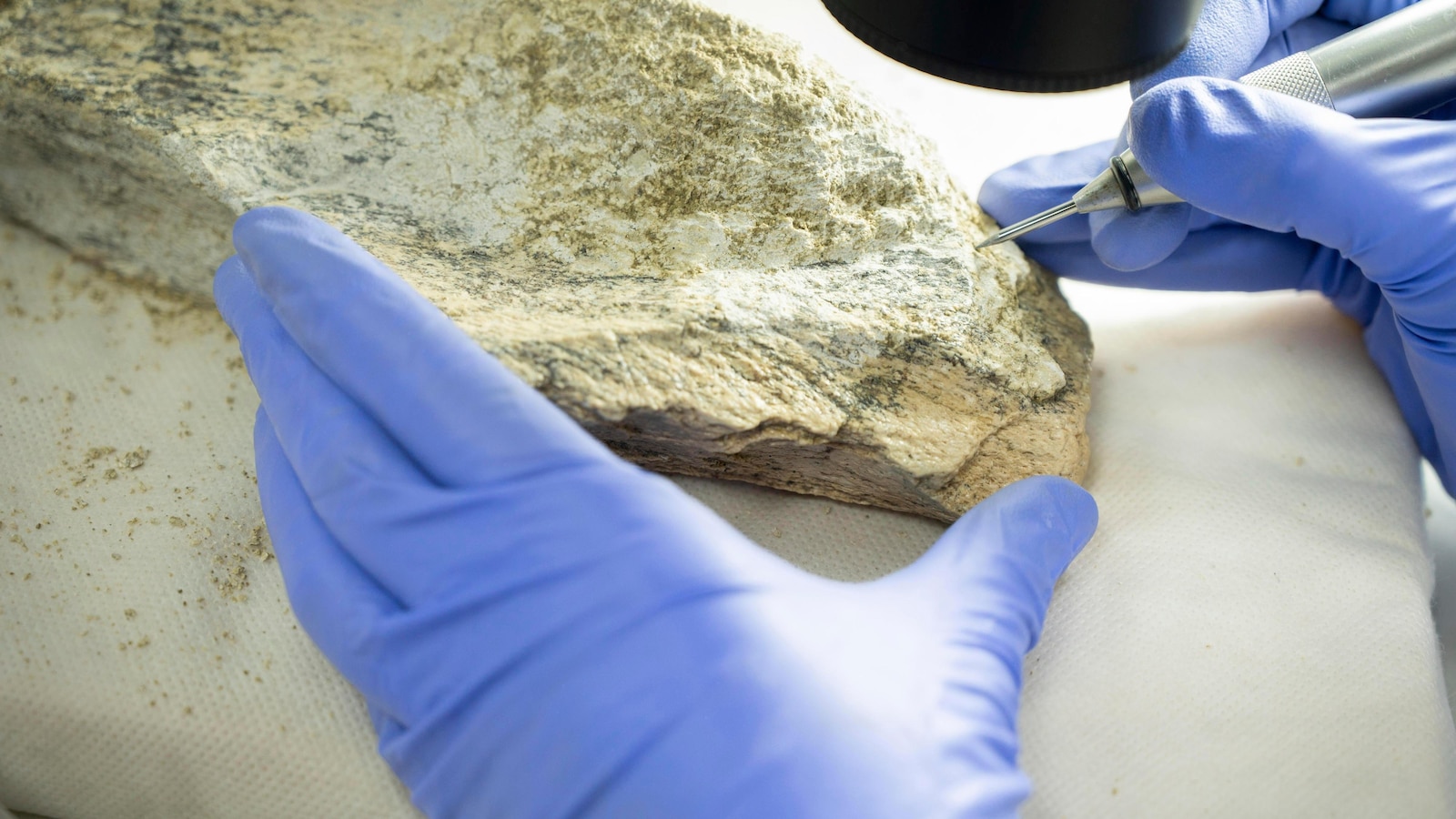 150 万年前，古人类用动物骨骼制造工具