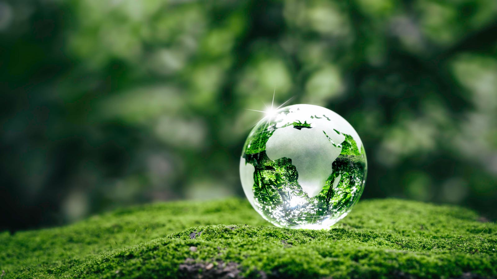 2025 年地球日 （Earth Day 2025）：负责任地利用 AI 的力量