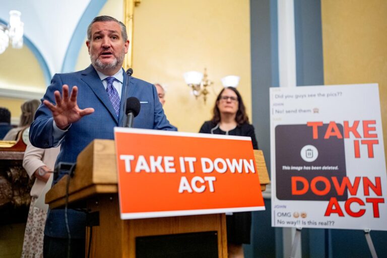 美国国会通过“Take It Down”复仇色情法案，该法案也涵盖了 AI 深度伪造