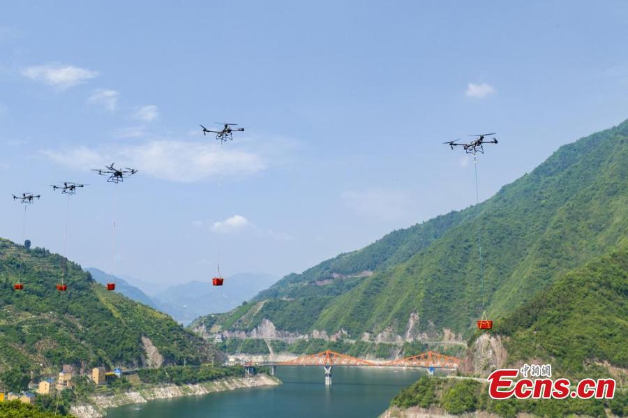 无人机促进脐橙收成