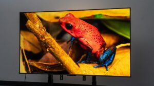 我测试了 TCL 价格实惠的 Mini LED 电视，它让我忘记了 OLED 旗舰产品