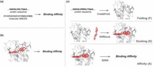 AI 生成的结合构象如何改善药物-蛋白质结合亲和力预测？了解 Folding-Docking-Affinity 框架