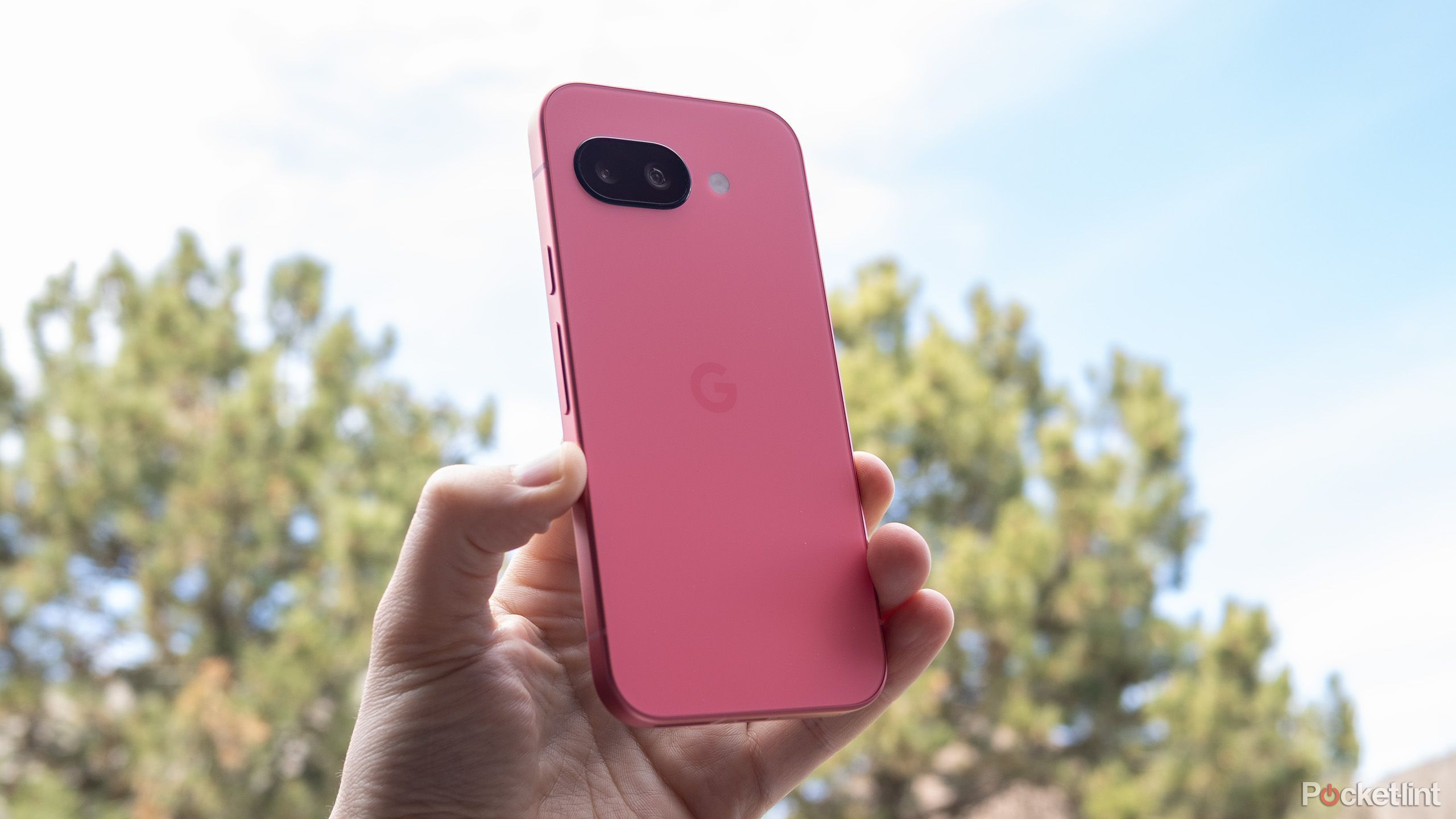 Google 阵容中的 4 款产品现在绝对一团糟