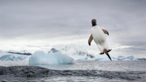 我是 Linux 高级用户，最新的 Ubuntu 更新让我脸上露出了笑容