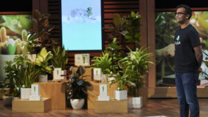 Shark Tank 第 15 季的 Flora 智能植物监测器发生了什么变化？