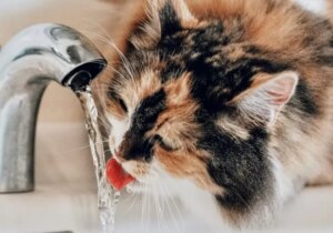 突破性的滤水器使用改性氧化石墨烯永久消除化学物质