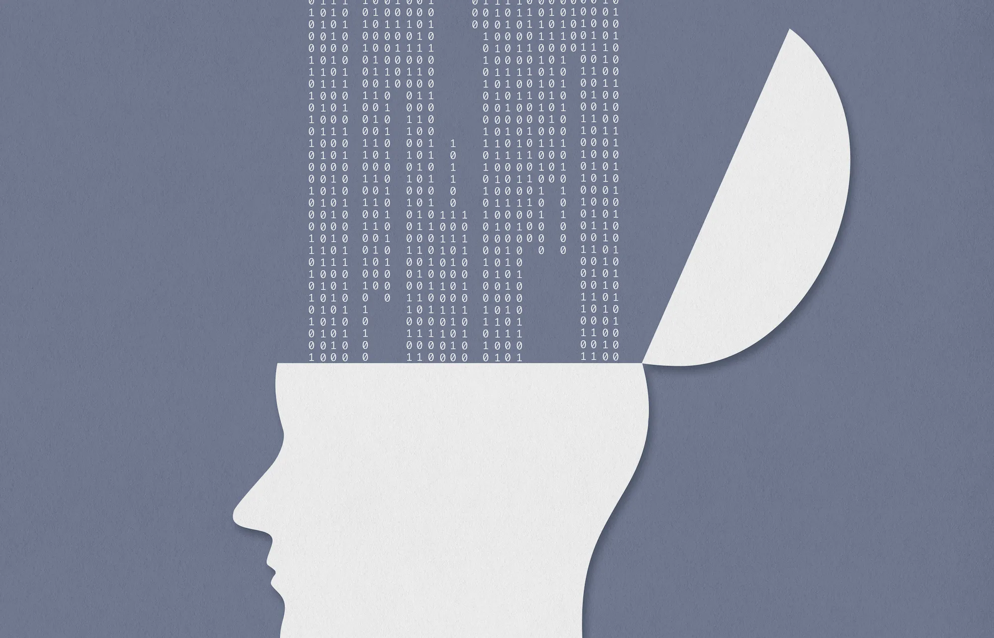 亚利桑那大学任命首位首席 AI 和数据科学官