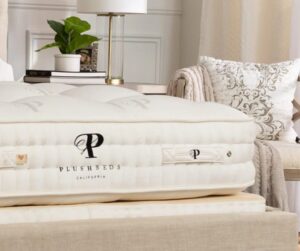 生成式 AI 购物工具 Alby 为 PlushBeds 带来转化率和更好的 SEO