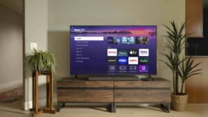 Roku 技术、专利证明了其提供“干扰性”广告的潜力