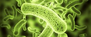 科学家们通过改造细菌使土壤和农作物“发光”呈现不同的颜色
