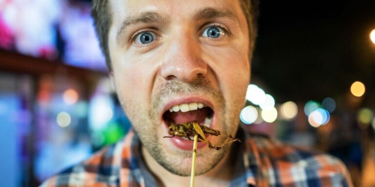 AI 模型更喜欢与 Apple 的移动平台合作，而不是 Google 的移动平台