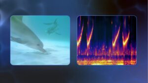 谷歌的新 AI 模型有朝一日可以让你理解海豚并与之交谈