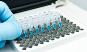 AI 工具揭示了隐藏的细胞对癌症治疗的反应