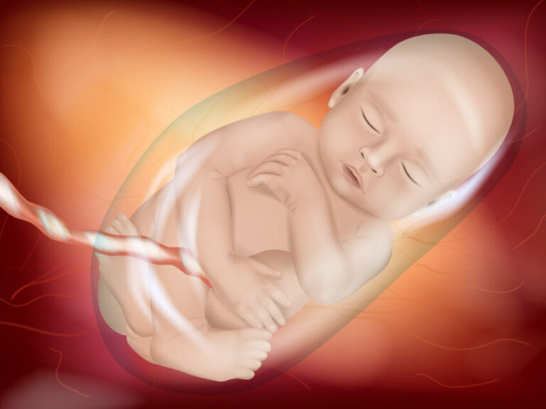 AI 用于识别未出生婴儿的异常