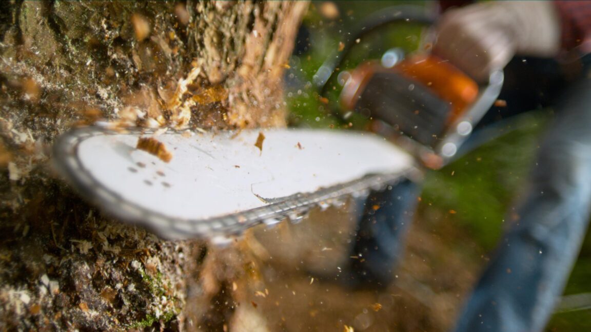 ISP 和机器人呼叫者喜欢 FCC 计划“删除”尽可能多的规则