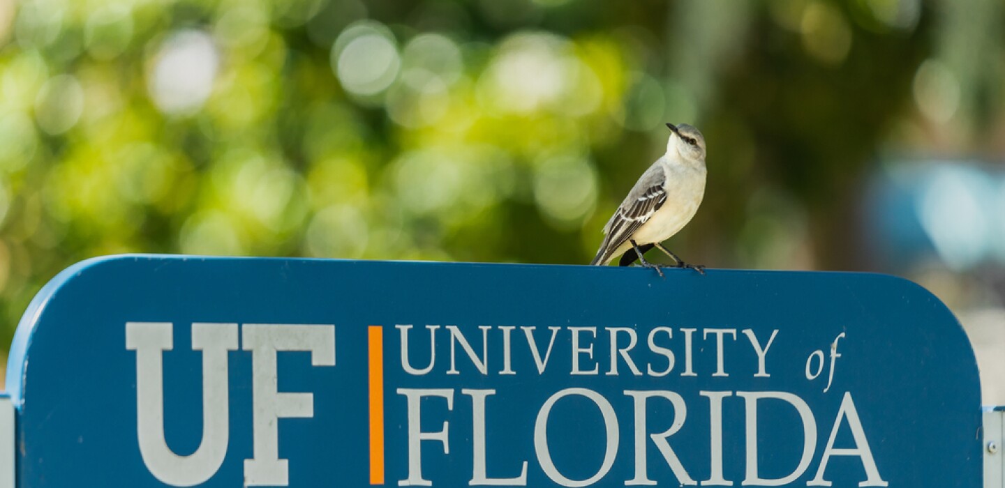 佛罗里达虚拟学校提供数学中的 AI 证书