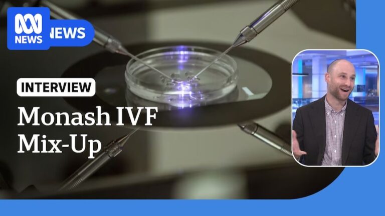 法律专家说，父母中的任何一方都可以抚养 IVF 混淆的孩子