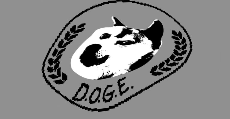 民主党人要求调查 Doge 涉嫌不当处理个人数据
