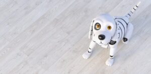 什么是强化学习？AI 研究人员解释了教机器的一种关键方法——以及它与训练你的狗有什么关系